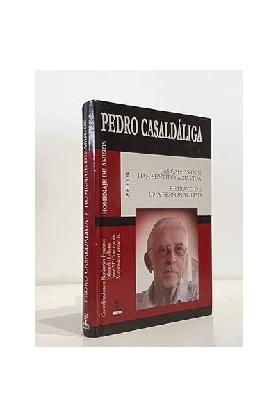 Pedro Casaldáliga: las causas que dan sentido a su vida : retrato de una personalidad.